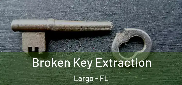  Broken Key Extraction Largo - FL