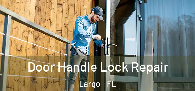  Door Handle Lock Repair Largo - FL