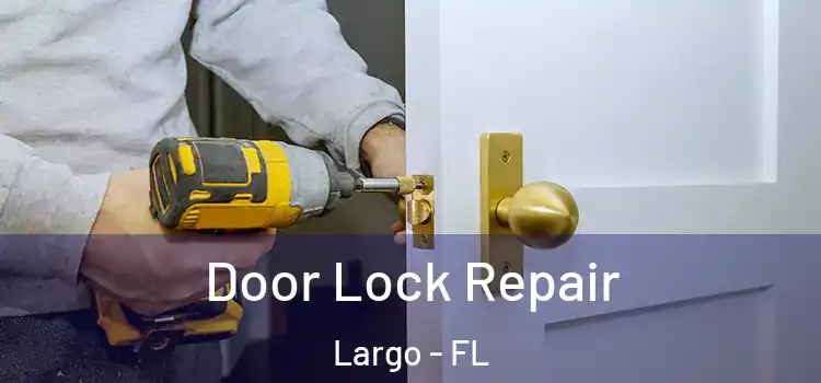 Door Lock Repair Largo - FL