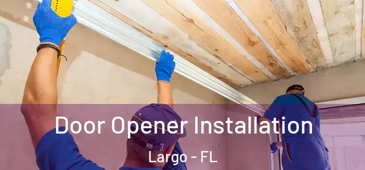  Door Opener Installation Largo - FL