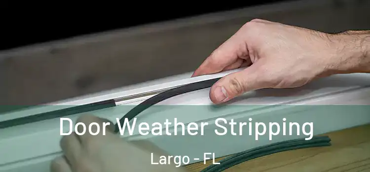  Door Weather Stripping Largo - FL