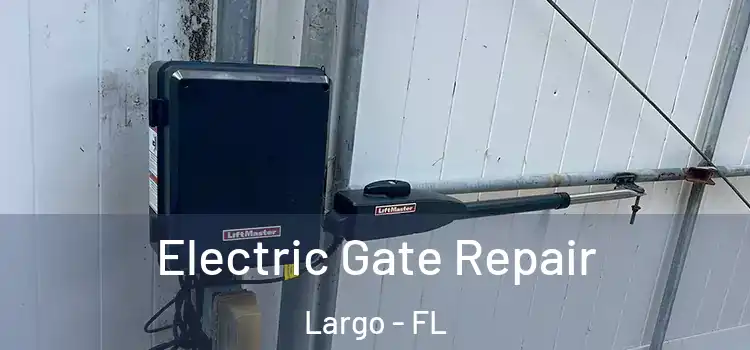 Electric Gate Repair Largo - FL