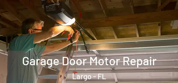  Garage Door Motor Repair Largo - FL