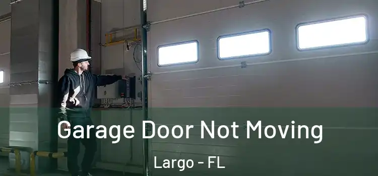  Garage Door Not Moving Largo - FL
