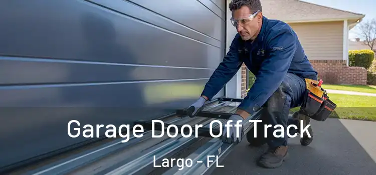  Garage Door Off Track Largo - FL