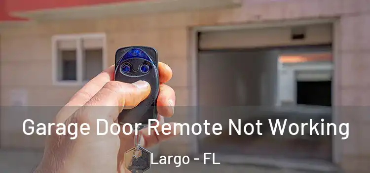  Garage Door Remote Not Working Largo - FL