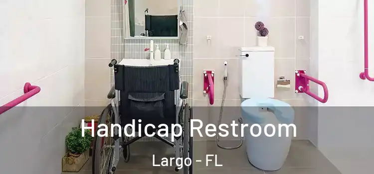  Handicap Restroom Largo - FL