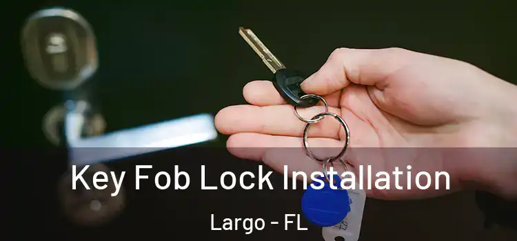  Key Fob Lock Installation Largo - FL
