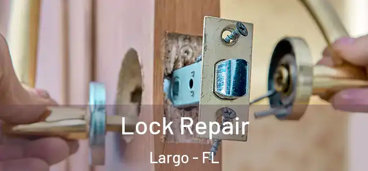  Lock Repair Largo - FL