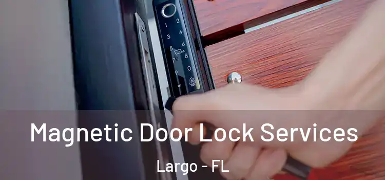  Magnetic Door Lock Services Largo - FL