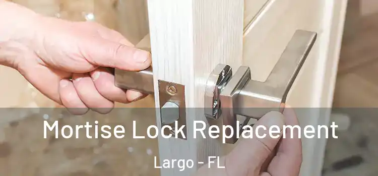 Mortise Lock Replacement Largo - FL