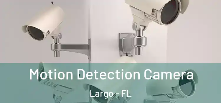  Motion Detection Camera Largo - FL