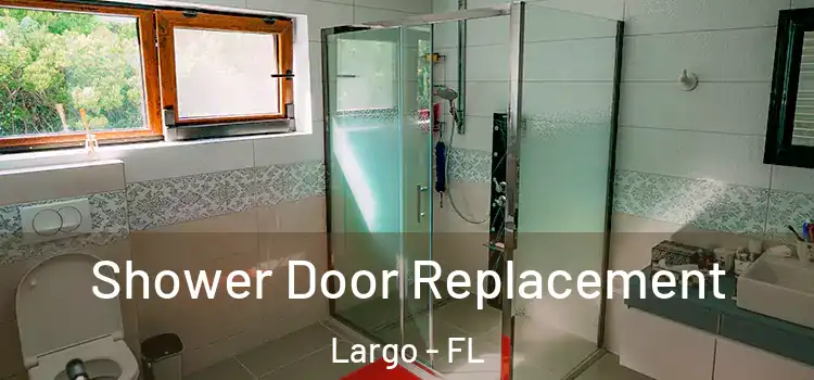 Shower Door Replacement Largo - FL