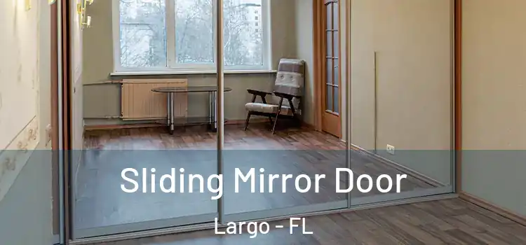  Sliding Mirror Door Largo - FL