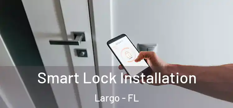  Smart Lock Installation Largo - FL